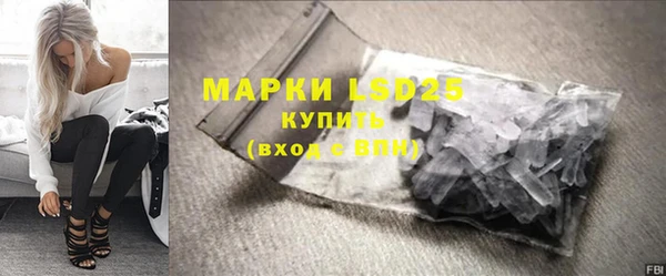СК Ельня