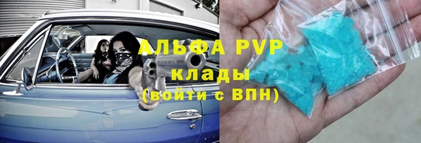 СК Ельня