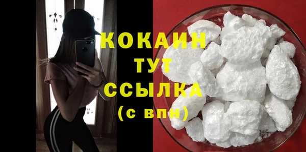СК Ельня
