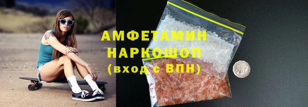 СК Ельня