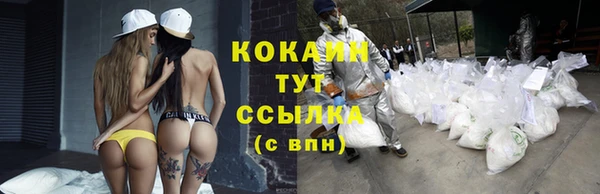 СК Ельня