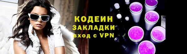 СК Ельня