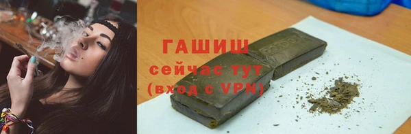 СК Ельня