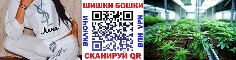 Купить  Оса  Марихуана OG Kush 